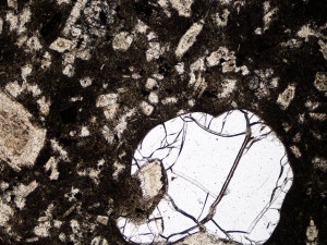 Opal has replaced the groundmass and all primary phenocrysts in this dacite except for quartz. Plane polarised light, field of view = 3.0 mm.