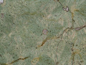 Coarse, pale green radiating chlorite and minor calcite have crystallised in amygdules in this andesite. Plane polarised light, field of view = 1.2 mm.