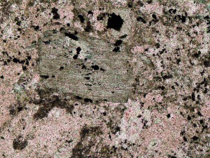 actinolite 1