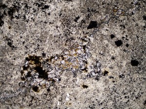 Granular diaspore crystals are present in fractures in this intensely altered rock that is largely composed of fine quartz with minor pyrite and iron oxides. Plane polarised light, field of view = 3.0 mm.