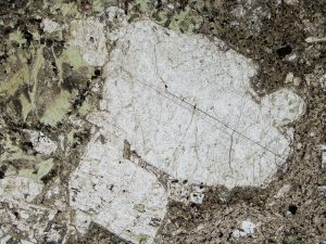 Illite has replaced most of the plagioclase in this sample, with chlorite and calcite common in the surrounding groundmass. Plain polarised light, field of view 3.0 mm.