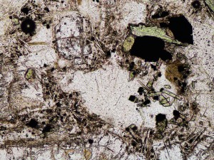 Colourless radiating acicular natrolite has replaced the groundmass between primary feldspar, augite, biotite and magnetite crystals. Plane polarised light, field of view = 1.2 mm.