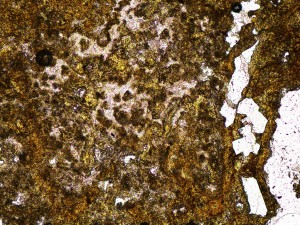 Yellow to brown jarosite with colourless scorodite and clear quartz. Plane polarised light, field of view = 1.2 mm.