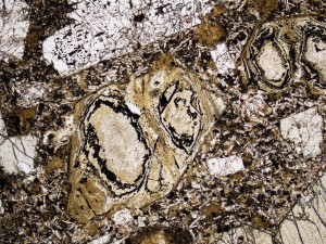 Euhedral olivine crystals in this basalt have been replaced by talc, with fine opaques, and some brownish smectite around the margins, while plagioclase and augite phenocrysts are unaltered. Plane polarised light, field of view = 3.0 mm.