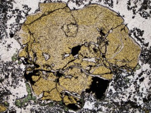 Coarse yellowish garnet is partly altered to chlorite (green), pyrite (black) and calcite, and intergrown with quartz and fine epidote. Plane polarised light, field of view = 3.0 mm.