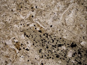 The mafic (pyroxene?) phenocrysts in this andesite have been altered to illite-smectite and opaque minerals (pyrite), feldspar phenocrysts (top right, bottom left) to illite-smectite, and the groundmass to intergrown quartz, illite-smectite and pyrite. Plane polarised light, field of view = 3.0 mm.