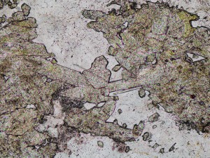 Pale yellow pleochroic epidote crystals intergrown with quartz and feldspar. Plane polarised light, field of view = 1.2 mm.