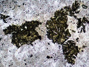 High relief yellowish sulphur crystals are intergrown with fine alunite needles, quartz and opaques (pyrite). Because of its' low melting point, sulphur is sometimes destroyed when thin sections are being made. Plane polarised light, field of view = 3.0 mm.